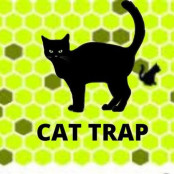 Trap the Cat